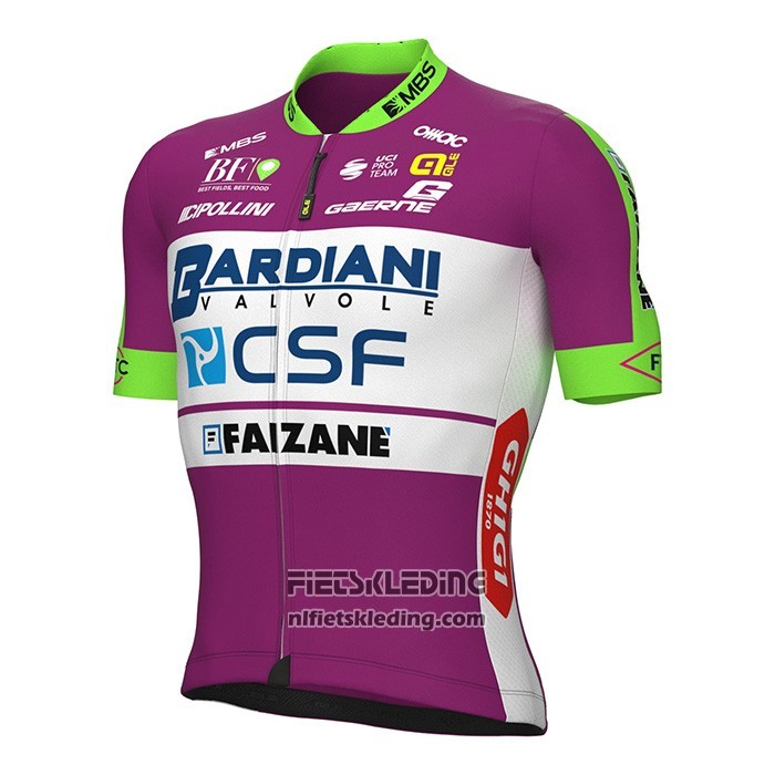 2022 Fietskleding Bardiani Csf Faizane Groen Violet Korte Mouwen en Koersbroek